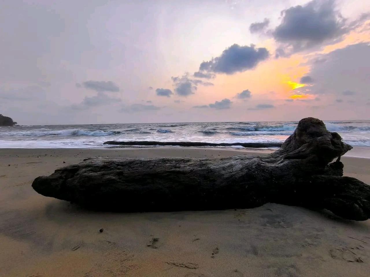 La Villa Lou, Musee Des Arts Grand Batangua Kribi Buitenkant foto
