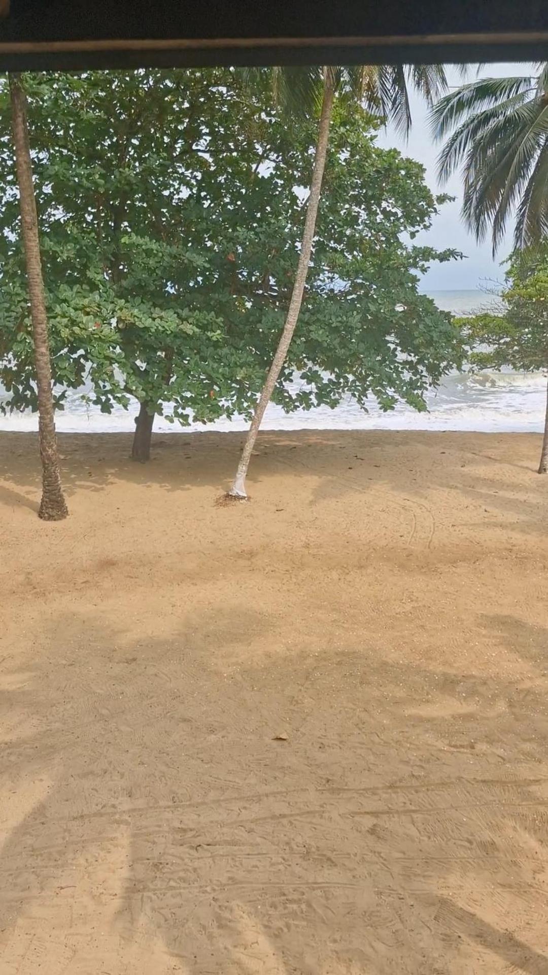 La Villa Lou, Musee Des Arts Grand Batangua Kribi Buitenkant foto