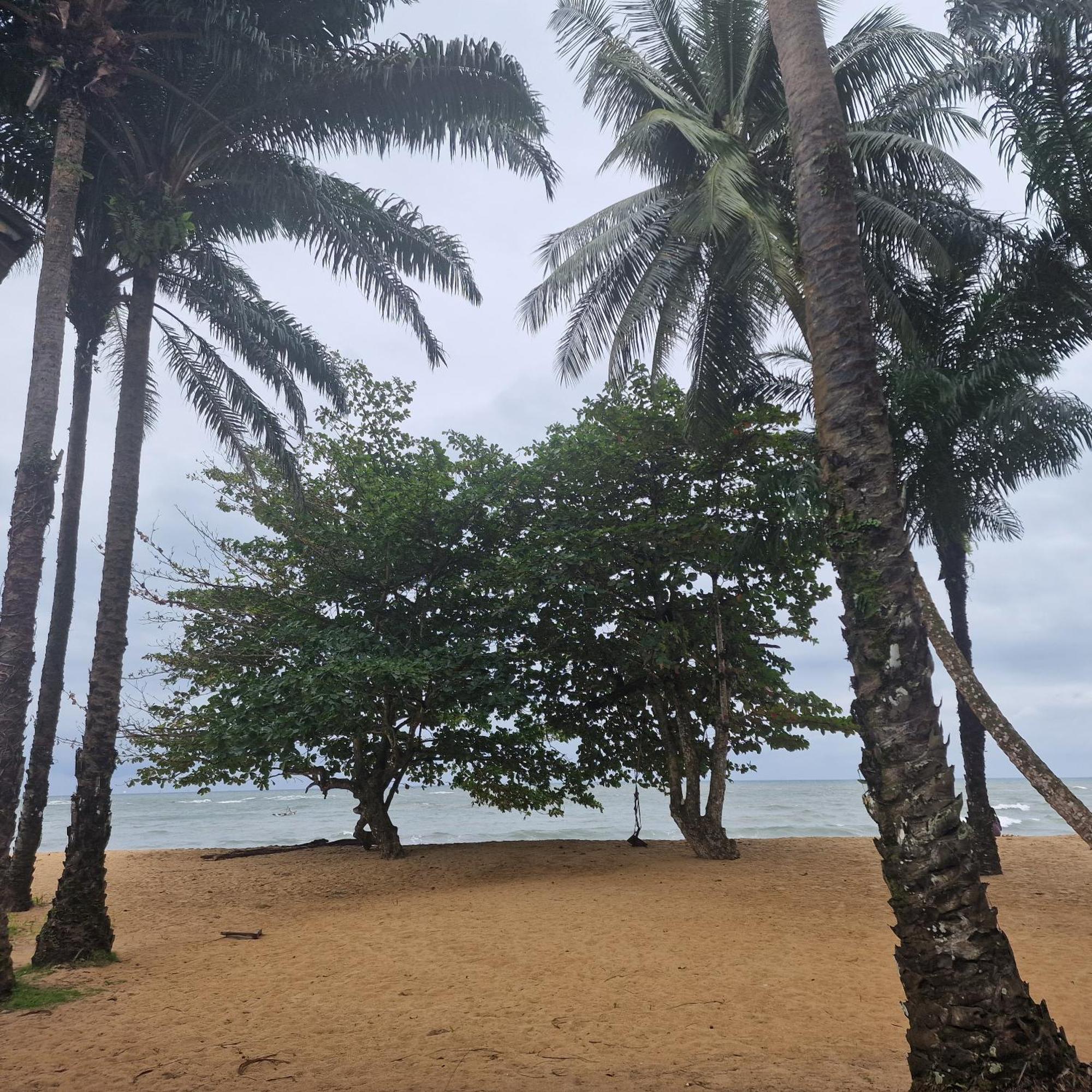 La Villa Lou, Musee Des Arts Grand Batangua Kribi Buitenkant foto